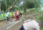 Sigap,-Polres-TTS-Bersihkan-Pohon-Tumbang