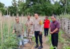 Inovasi-Polsek-Kualin-Ubah-Lahan-Pasir-Jadi-Kebun-Produktif,-Anggota-Komisi-IV-DPR-RI- Beri-Apresiasi