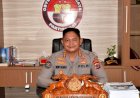 Pengungkapan-Jaringan-Pencurian--Ternak-di-Sumba-Barat
