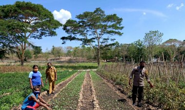 Kunjungi-Kelompok-Tani,-Bhabinkamtibmas-Beri-Apresiasi