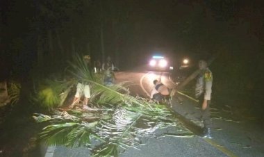 Respon-Cepat-,-Bhabinkamtibmas-Bersama-Warga- Bersihkan-Pohon-Tumbang-Yang -Menutupi-Jalur-Jalan-Raya