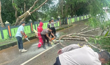 Sigap,-Polres-TTS-Bersihkan-Pohon-Tumbang