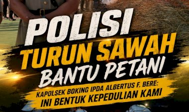 Polisi-Turun-Sawah-Bantu-Petani,-Kapolsek-Boking-IPDA-Albertus-F.-Bere:-Ini-Bentuk-Kepedulian-Kami
