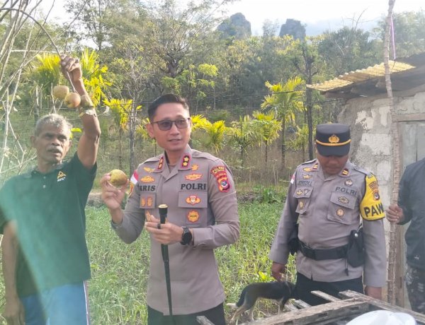 Dukung potensi daerah: Kapolres TTS temukan Apel Soe yang melegenda