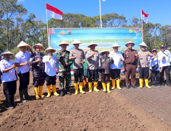 Polda NTT, Polres TTS, dan Pemkab TTS Gelar Penanaman Bawang Putih Serentak Terintegrasi