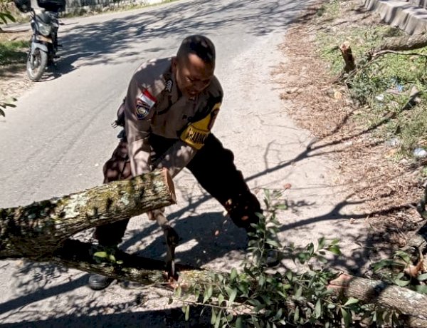 Bhabinkamtibmas Kota Soe Gotong Royong Bersama Warga Evakuasi Pohon Tumbang