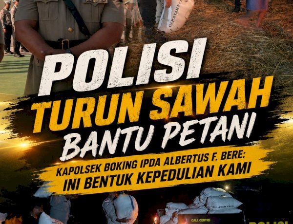 Polisi Turun Sawah Bantu Petani, Kapolsek Boking IPDA Albertus F. Bere: Ini Bentuk Kepedulian Kami