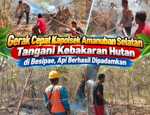 Gerak Cepat Kapolsek Amanuban Selatan Tangani Kebakaran Hutan di Besipae, Api Berhasil Dipadamkan