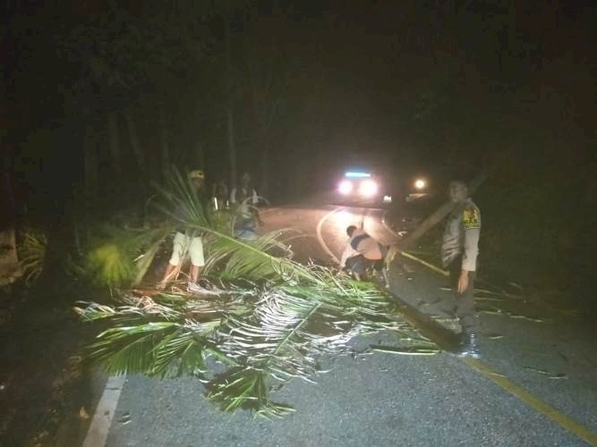 Respon Cepat , Bhabinkamtibmas Bersama Warga  Bersihkan Pohon Tumbang Yang  Menutupi Jalur Jalan Raya