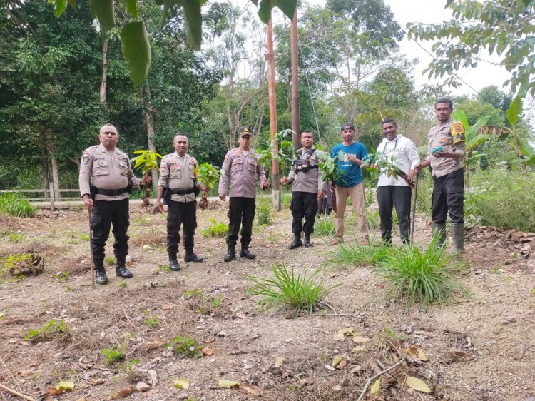 Menghijaukan Lingkungan, Polsek Amanatun Selatan Tanam Pohon