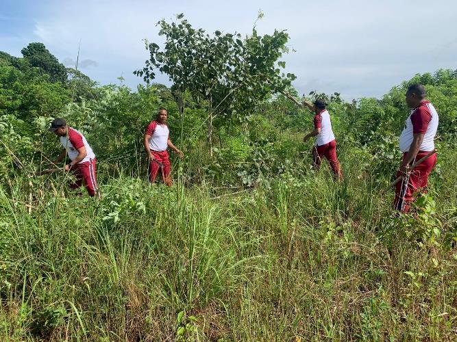 Dukung Ketahanan pangan, Polres TTS Pembersihan Lahan Persiapan Penanaman Jagung Serentak