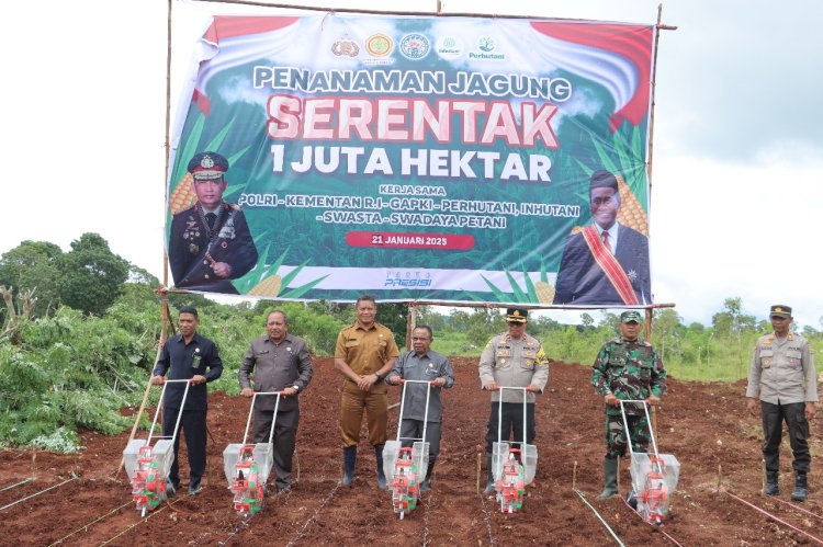 Wujudkan Ketahanan Pangan, Polres TTS Lakukan Penanaman Jagung Serentak