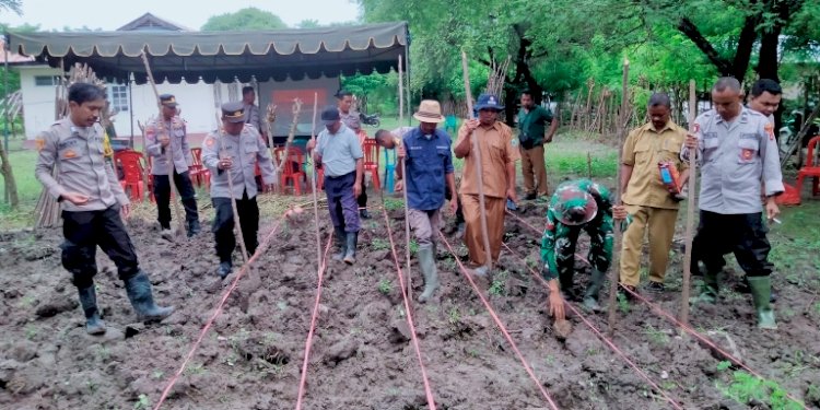 Tanam Jagung , Polsek Amanuban Selatan dukung  dan  Sukseskan Program Penanaman Jagung Serentak Satu Juta Hektar