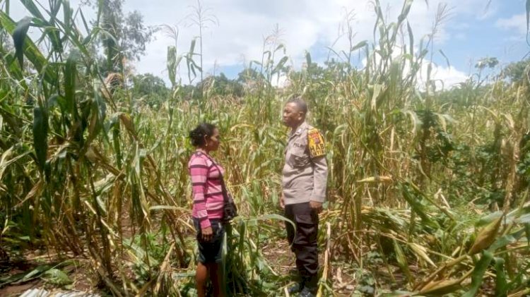 Dorong Peningkatan Ketahan Pangan, Bhabinkamtibmas  Sambang ke Kelompok Tani