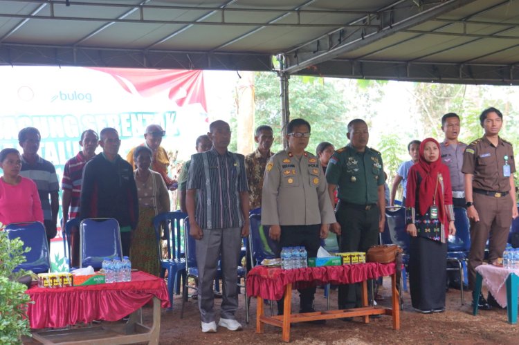 Serentak Di Indonesia, Polres TTS Ikut Panen Raya Jagung Kuartal II Secara Virtual.