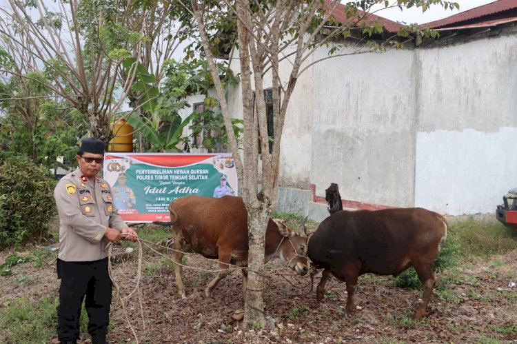 Peringati Idul Adha 1446 Hijrah Kapolres TTS Persembahkan 3 Ekor Hewan Qurban.