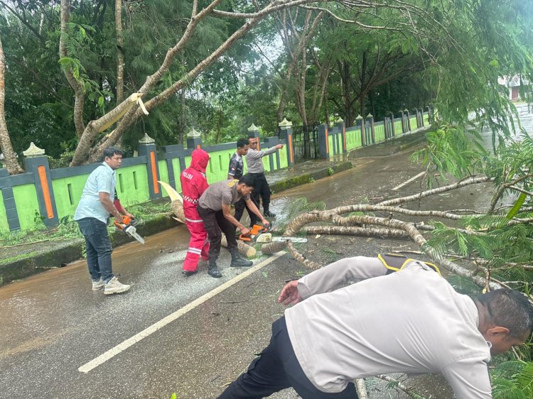 Sigap, Polres TTS Bersihkan Pohon Tumbang