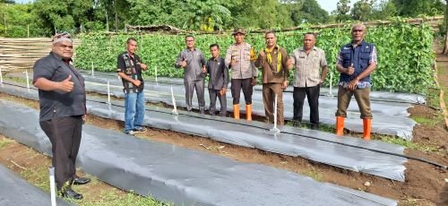 Ubah Lahan Pasir Jadi Produktif, Pimpinan DPRD TTS Tinjau Pekarangan Pangan Polsek Kualin
