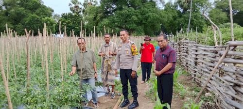 Inovasi Polsek Kualin Ubah Lahan Pasir Jadi Kebun Produktif, Anggota Komisi IV DPR RI  Beri Apresiasi