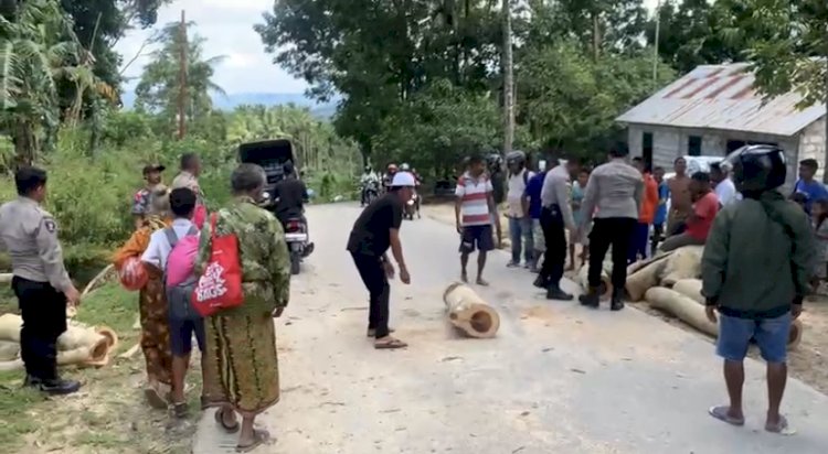 Respon Laporan Warga, Polres TTS Evakuasi  Pohon Tumbang yang Menggangu Arus  Lalu Lintas