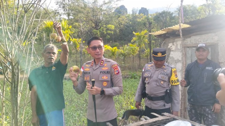 Dukung potensi daerah: Kapolres TTS temukan Apel Soe yang melegenda