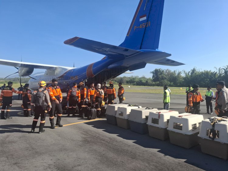 Misi Kemanusiaan Gempa Flores, Personel Mabes Polri dan 10 K-9 Tiba di Ngada