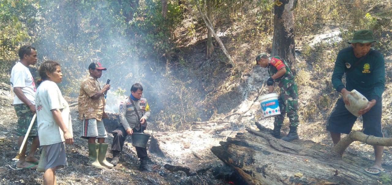 Bersama Warga, Bhabinkamtibmas Padamkan Api di Hutan Desa